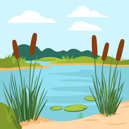 Swamp pond landscape with reed and cattail. Overgrown pond shore. Vectorのイラスト素材