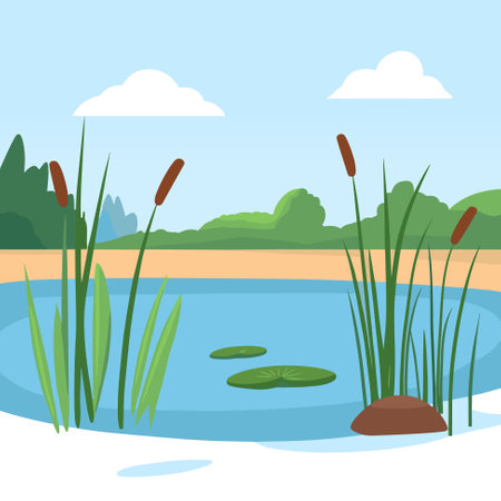Swamp pond landscape with reed and cattail. Overgrown pond shore. Vectorのイラスト素材