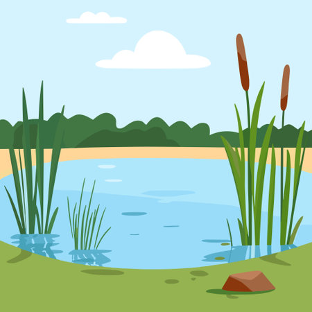 Swamp pond landscape with reed and cattail. Overgrown pond shore. Vectorのイラスト素材