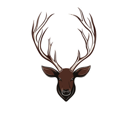 Vector illustration of a deer head with antlers isolated on white background. Horns. Hunting trophy. Vector horned wild animal. Hunted deer, wildlife decoration conceptのイラスト素材