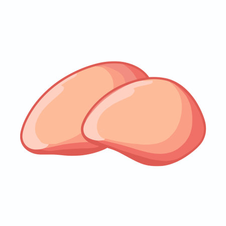 Raw chicken breast vector illustration. Raw skinless fillet of broiler or turkey, white poultry meat, protein ingredientのイラスト素材