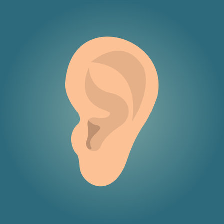 Human ear vector illustrationのイラスト素材