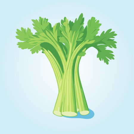 Fresh celery with green leaves isolated on neutral background. Natural vegetable, healthy vegetarian food, cultivated plant, organic product vector illustration.のイラスト素材