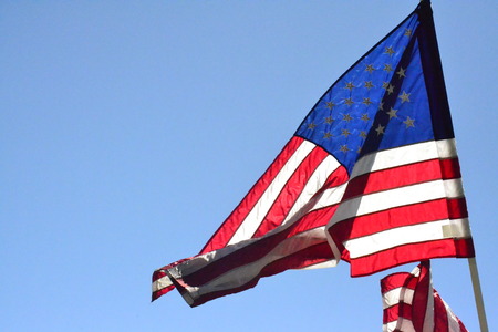 USA Flag