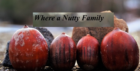 family of nuts