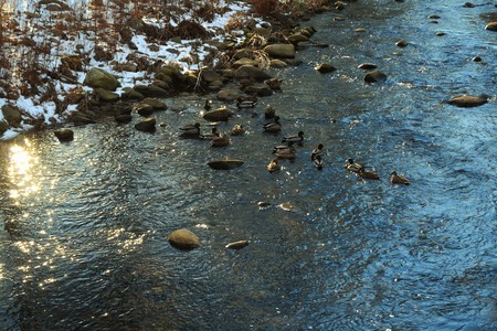 Connecticut sceneryの写真素材