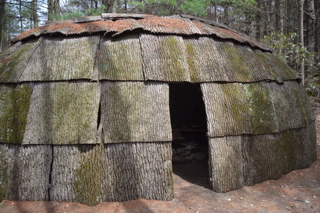 wigwam in the forestの写真素材