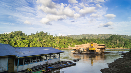 raft full of log transported through the riverの写真素材