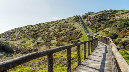 long stairs up to the hill surrounded by bush