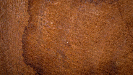 decorative pattern of wood panel surfaceの写真素材