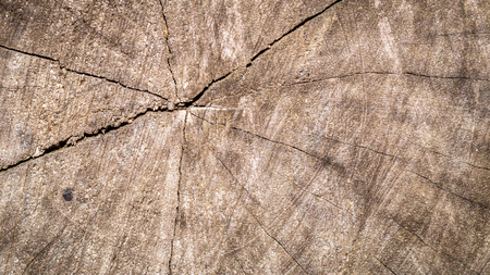 detail look of the texture of wood surfaceの写真素材