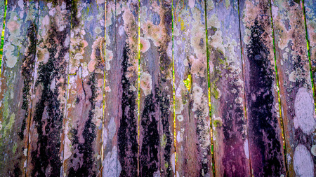 decorative rustic weathered wood plank with chipped paint and vibrant coloの写真素材