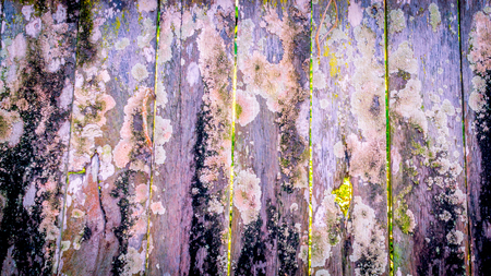 decorative rustic weathered wood plank with chipped paint and vibrant coloの写真素材