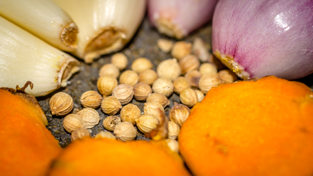 detail look of colorful spices consisted of coriander, garlic, onion. turmericの写真素材