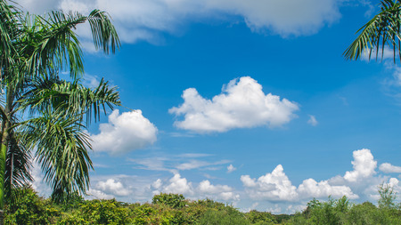 White cloud and blue skyの写真素材