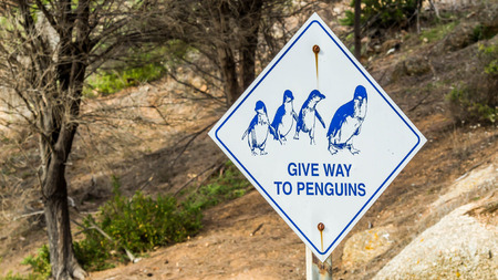 penguin warning road traffic sign in Granite Island, South Australiaの写真素材