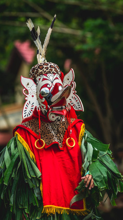 Hudoq dayak (native tribe of Borneo) perform traditional thanksgiving dance wearing mask symbolize the Godsのeditorial素材