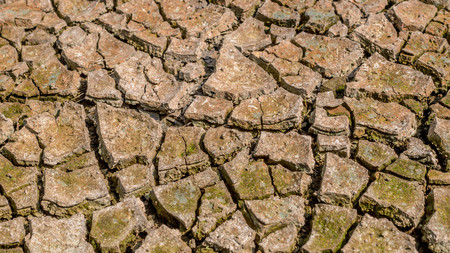 Dried cracked earth soil ground texture background.Crack soil on dry season, Global worming effect