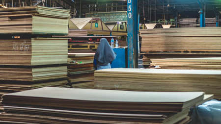 Female worker activity at plywood manufacture industryのeditorial素材