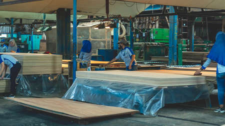 The activity at plywood manufacture industryのeditorial素材