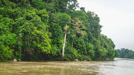 Beautiful landscape of Mahakam Ulu, tropical rainforest on the banks of Mahakam riverの写真素材