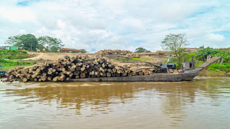 Timber loaded into big barge then drag by a tugboat cruising Mahakam River, Borneo, Indonesiaの写真素材