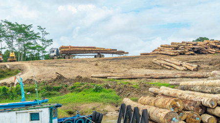 Timber loaded into big barge then drag by a tugboat cruising Mahakam River, Borneo, Indonesiaの写真素材