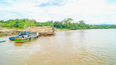 Timber loaded into big barge then drag by a tugboat cruising Mahakam River, Borneo, Indonesia