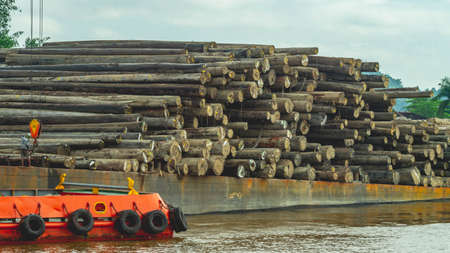 Timber loaded into big barge then drag by a tugboat cruising Mahakam River, Borneo, Indonesiaの写真素材