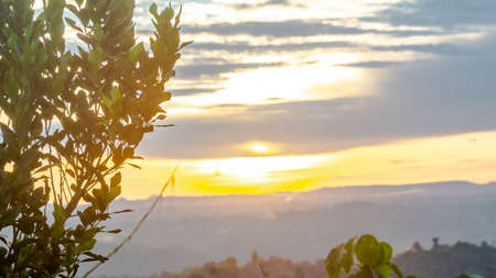 Sunset at Borneo tropical rain forest. Landscape of forestの写真素材