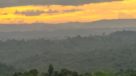 Borneo tropical rain forest at sunset. Sunset in the forestの写真素材