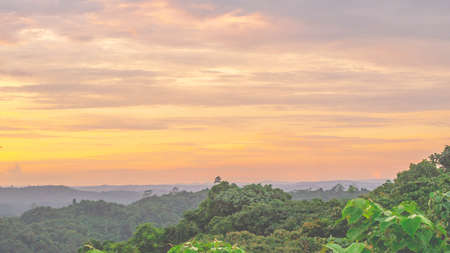 Borneo tropical rain forest at sunset. Sunset in the forestの写真素材