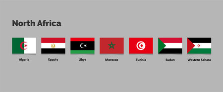 Illustration Vector of North Africa Flag Icon Set, Egypt, Tunisia, Algeria, Libya, Sudan, Western Sahara and Morocco.のイラスト素材