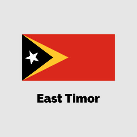 East Timor flag with text on gray background. Vector illustration.のイラスト素材