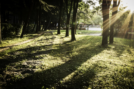 Shadows of Light.の写真素材