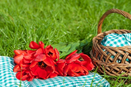 picnicの写真素材