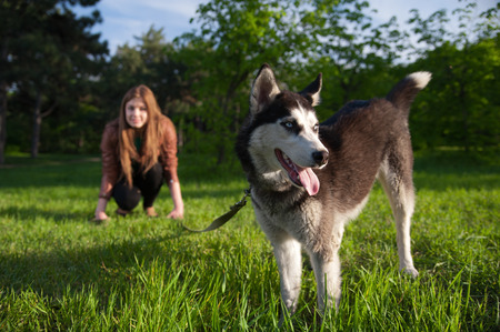 The girl is having fun with her husky dog in the parkの写真素材