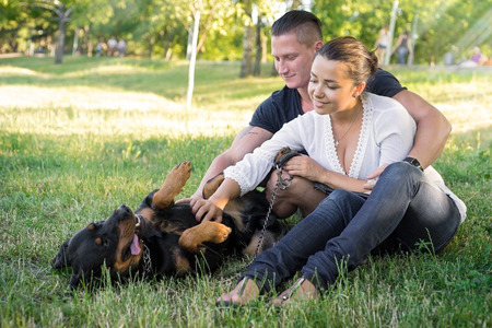 Dog plays with the owners on the grassの写真素材