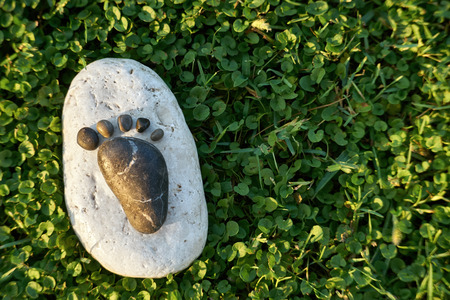 footprint on grass lined with stonesの写真素材