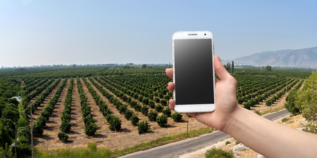 hand holding the phone against the backdrop of a fieldの写真素材