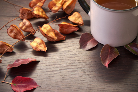 Autumn foliage on the table.の写真素材