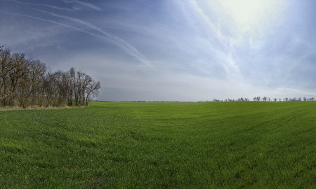 Spring field. Beautiful sky. Backgroundの写真素材