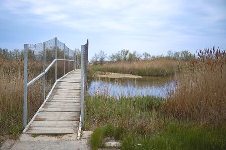 Landscape bridge that leads to the other sideの写真素材
