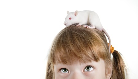 close-up girl with a rat on her headの写真素材