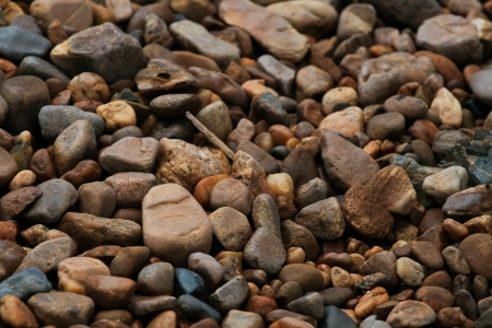 pebble in the gardenの写真素材
