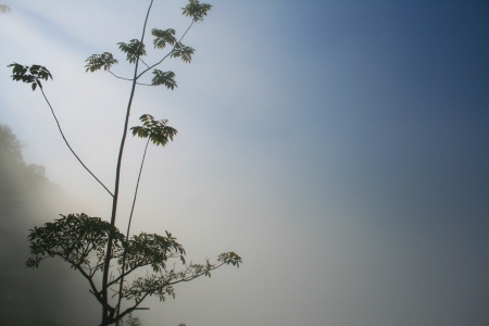 Sea of fog in the morningの写真素材