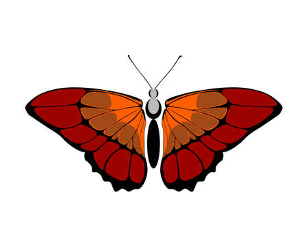 Butterfly with red and brown wings vector, can be used brand, goods, printing, vectorのイラスト素材
