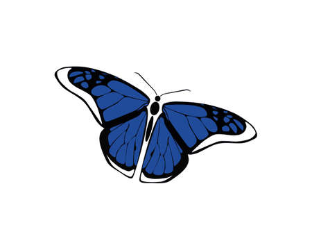Blue butterfly vector, can be used for brand, goods, vectorのイラスト素材