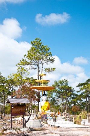 Golden Buddha and Blue Sky in Phukradueng National Parkの写真素材