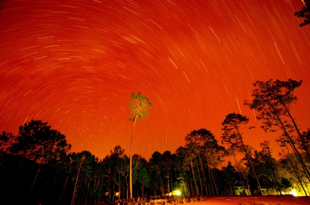 Wild twilight time in Nam Nao National Parkの写真素材